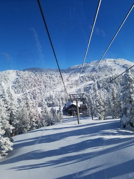 20170124_145729.jpg