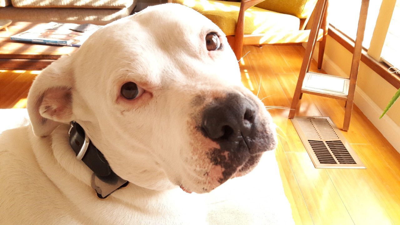 20170125_103221.jpg