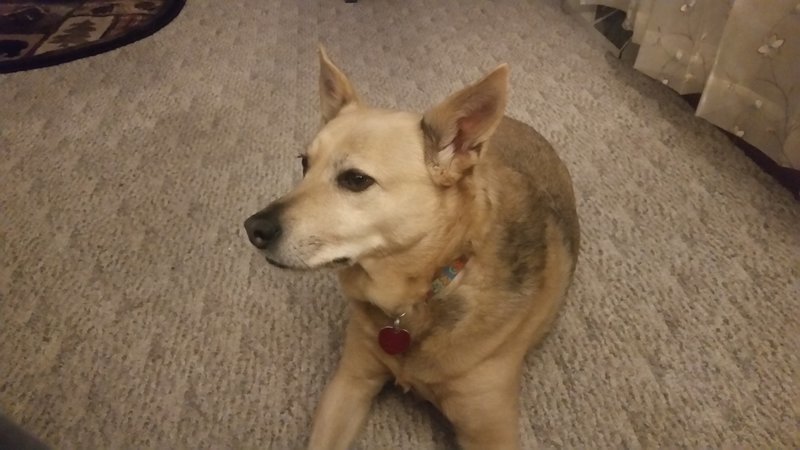 20170126_201900.jpg