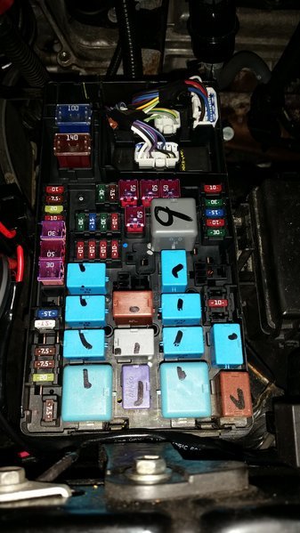 20170126_204958.jpg