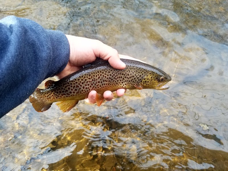 20170127_110151.jpg