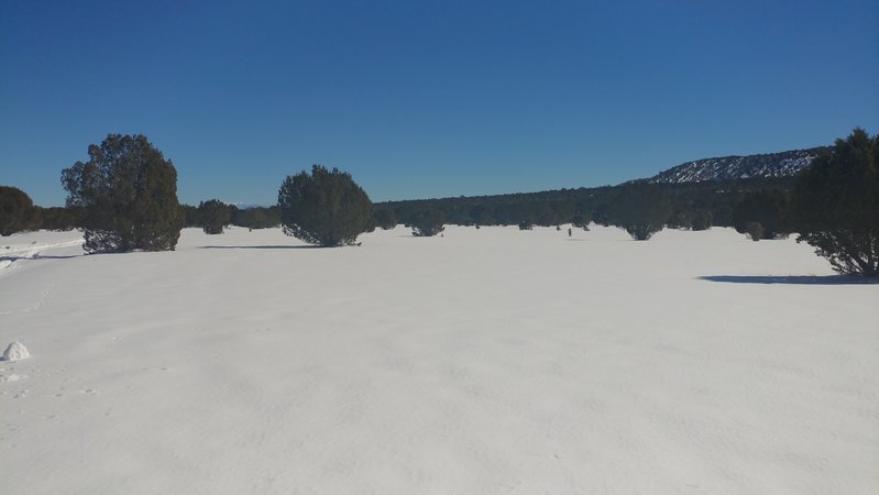 20170128_123942.jpg