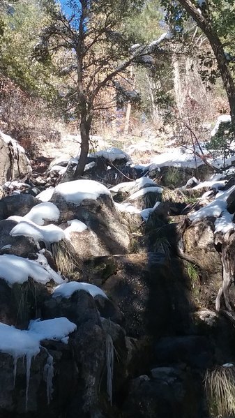 20170128_143029.jpg