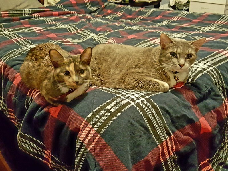 20170129_091636.jpg
