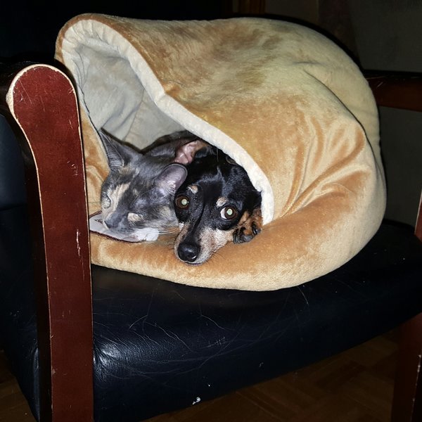 20170129_092802.jpg