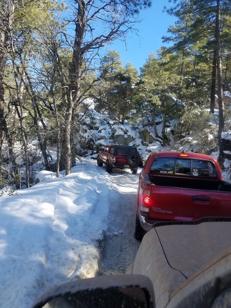 20170129_114626.jpg