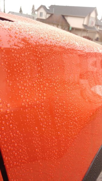20170129_144824_HDR.jpg