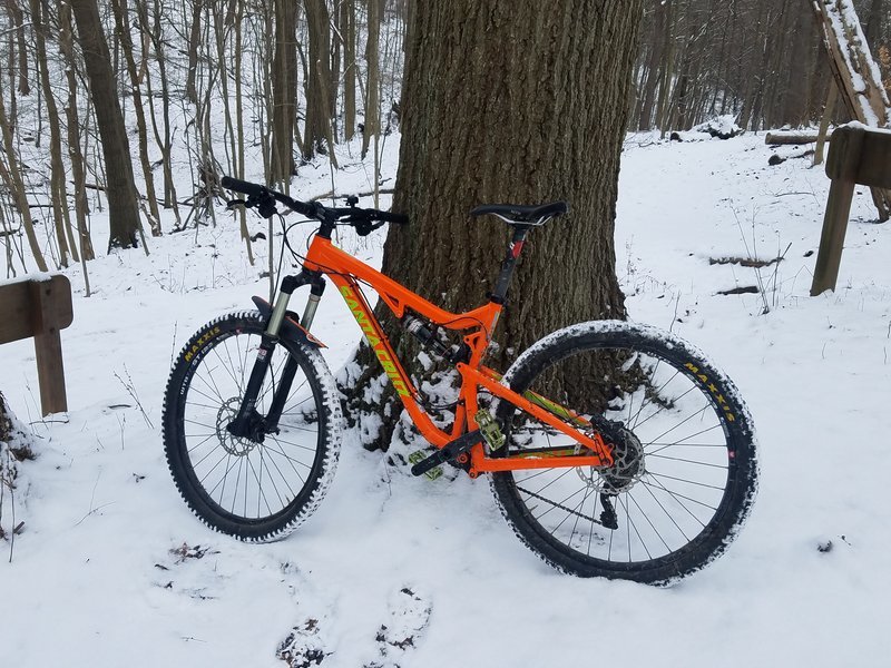 20170130_122202.jpg