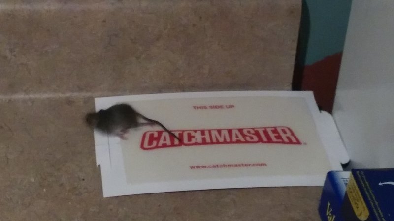 20170130_180706.jpg