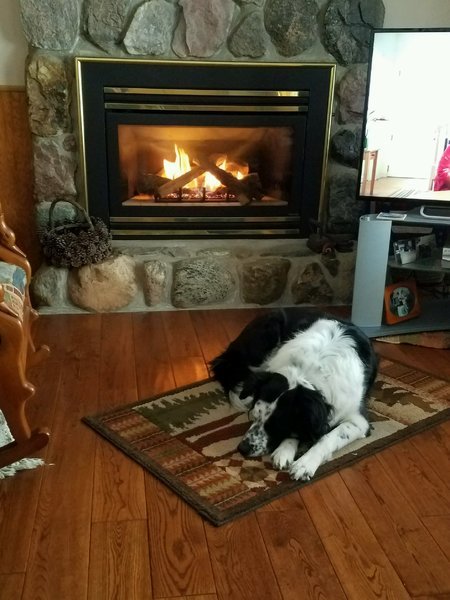 20170201_145550.jpg