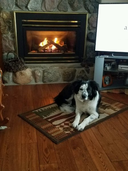 20170201_145554.jpg