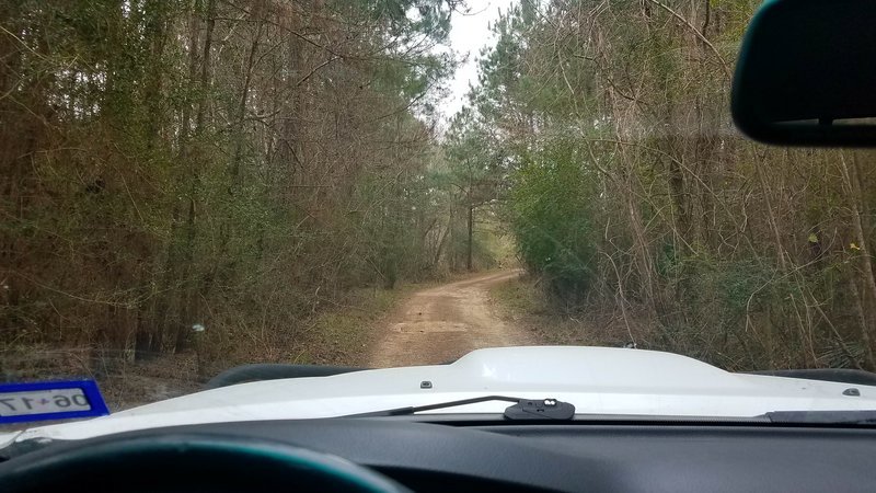 20170204_122602.jpg