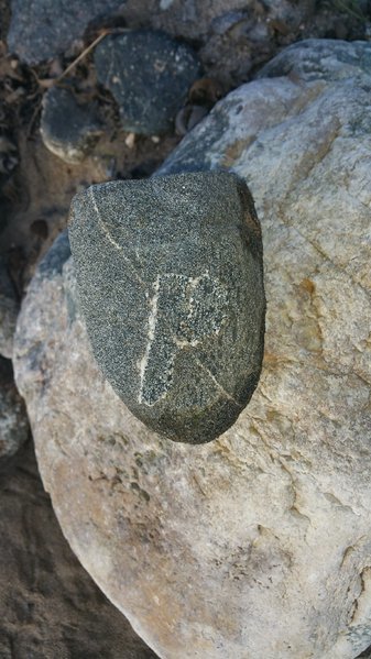 20170204_162048.jpg