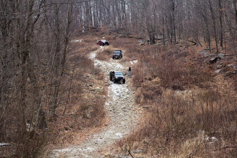 20170205-4376.jpg
