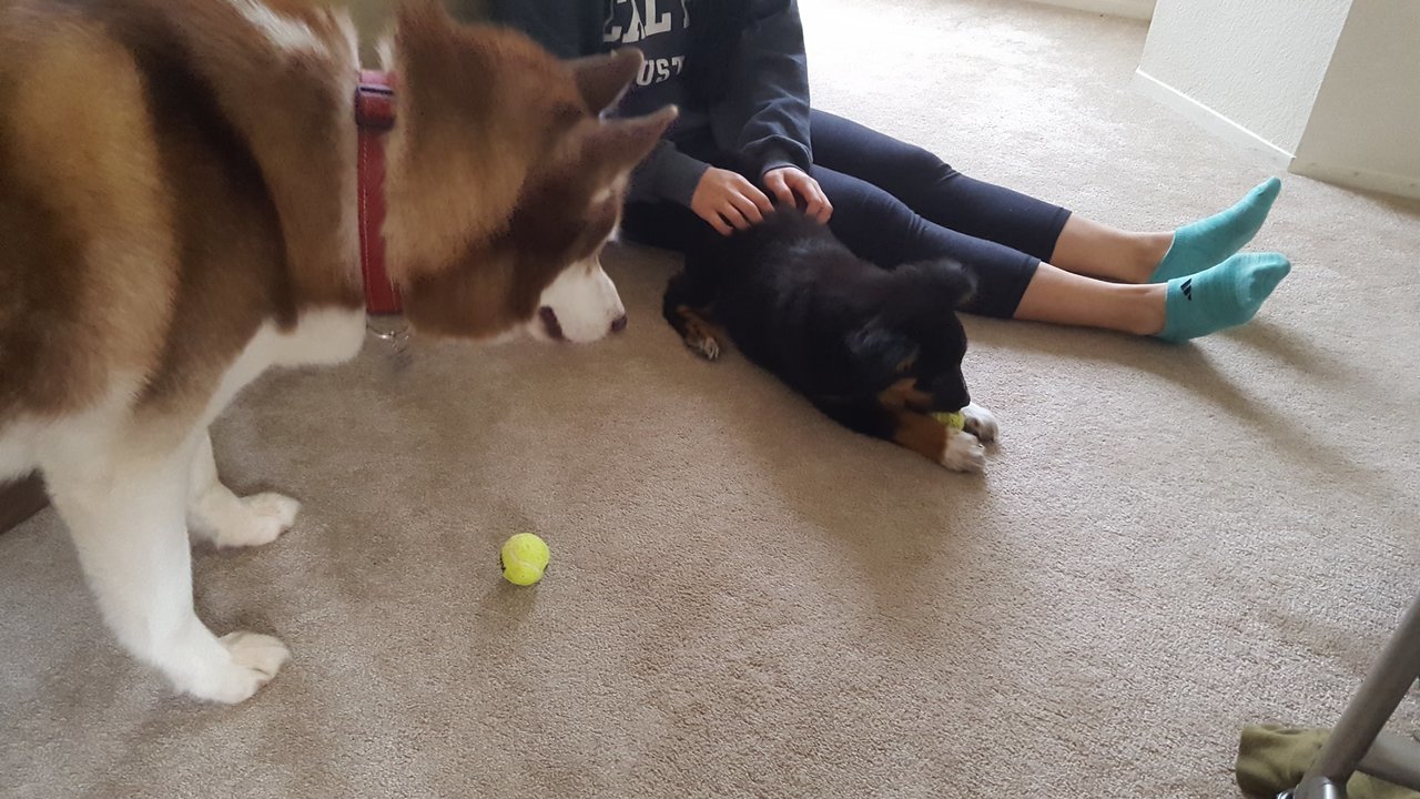 20170205_111633.jpg