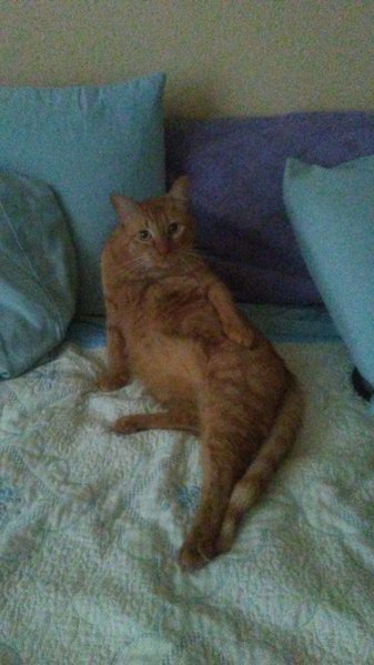20170205_161451.jpg