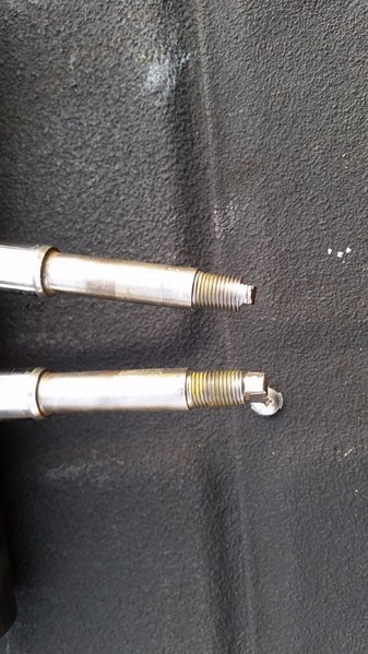20170207_172805.jpg