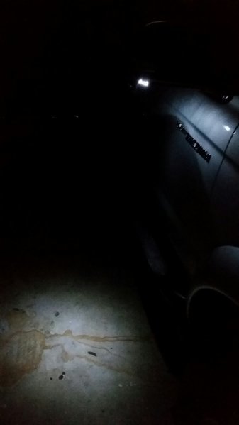 20170208_090013_resized.jpg