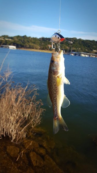 20170208_173759.jpg