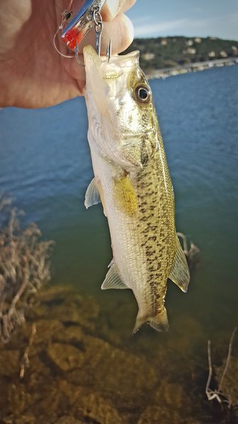 20170208_173817.jpg