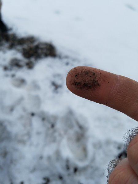 20170209_153105.jpg