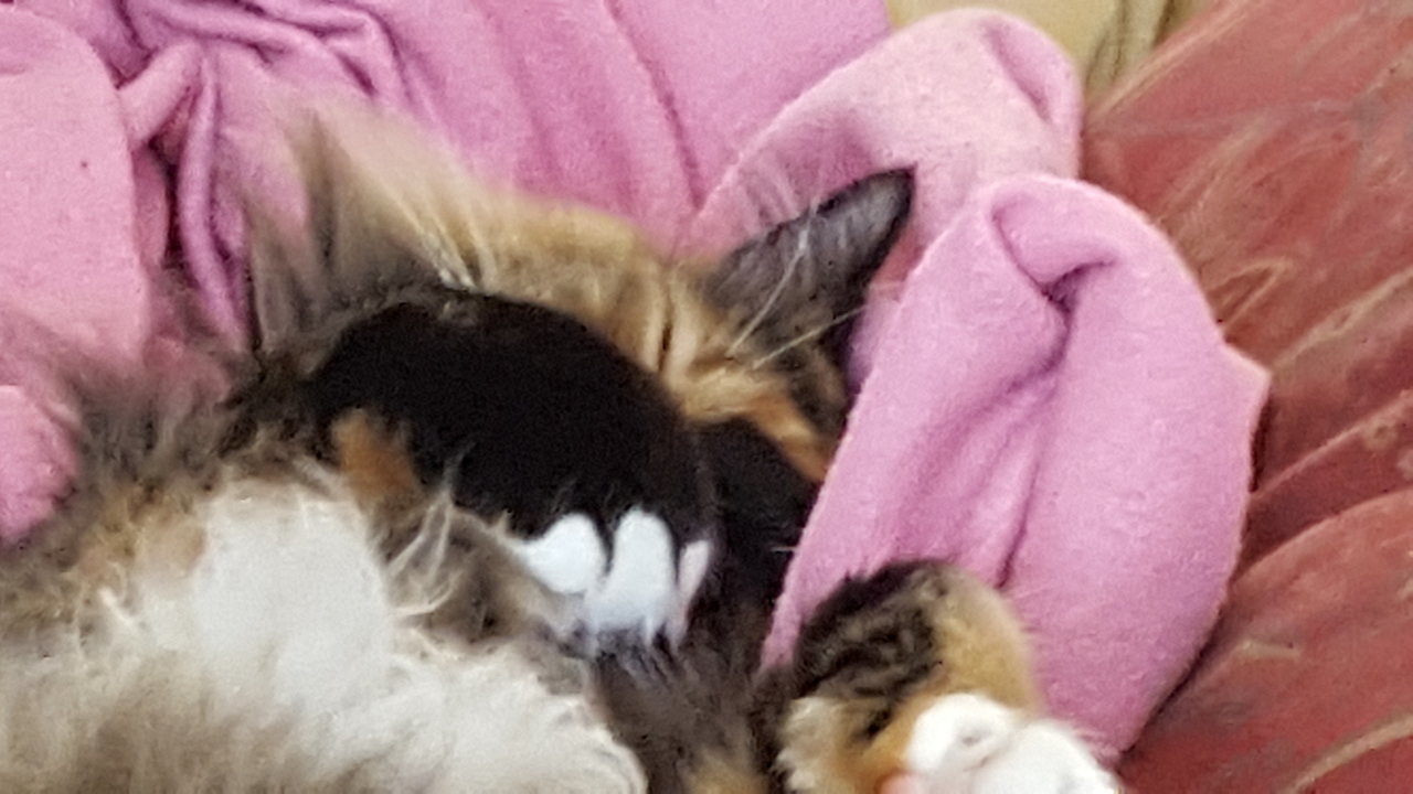 20170209_154037.jpg