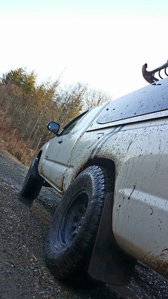 20170213_071838.jpg