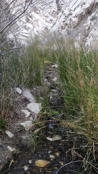 20170215_080230.jpg
