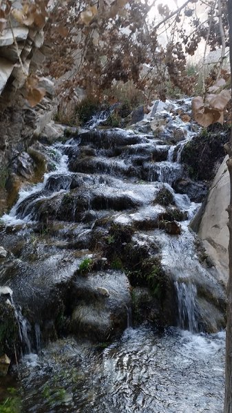 20170215_080710.jpg
