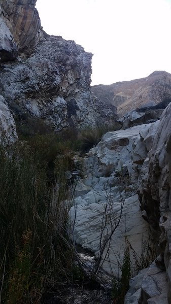 20170215_081028.jpg