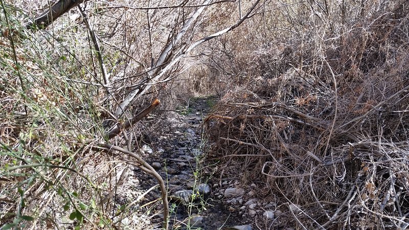 20170215_104358.jpg