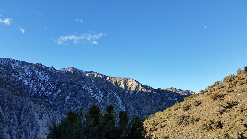20170216_074251.jpg