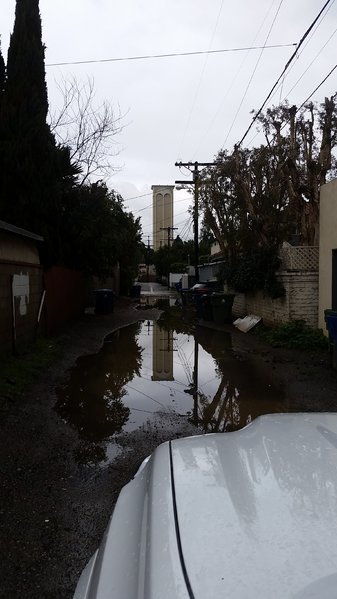 20170218_100549.jpg