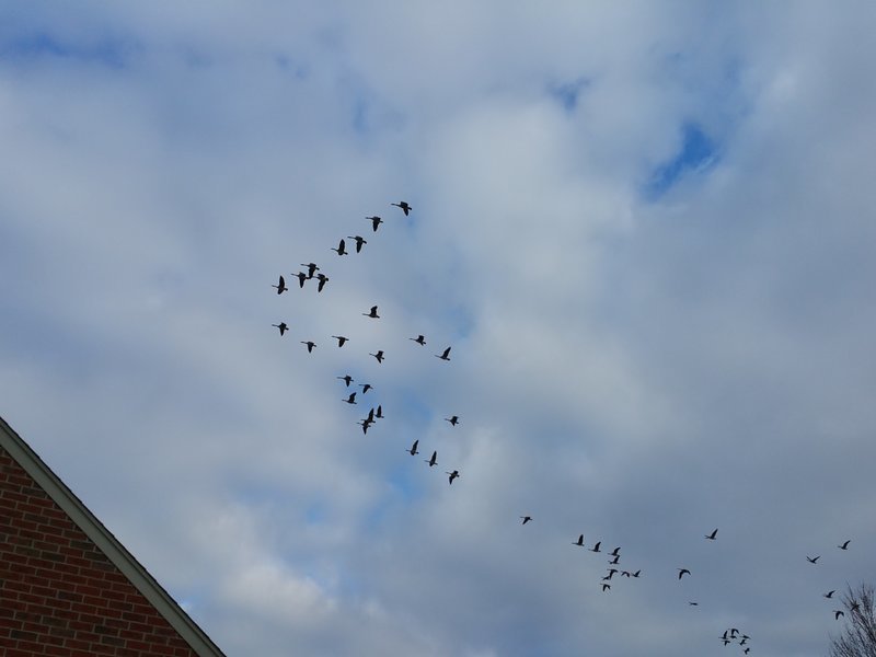 20170218_163532.jpg