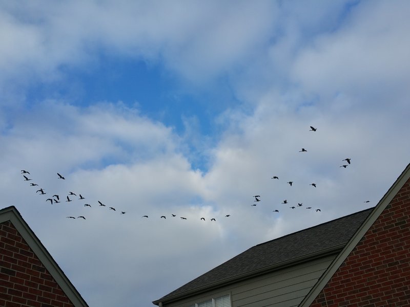 20170218_163535.jpg