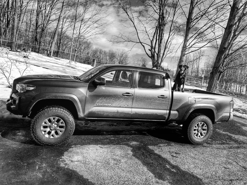 20170219_132720-01.jpg