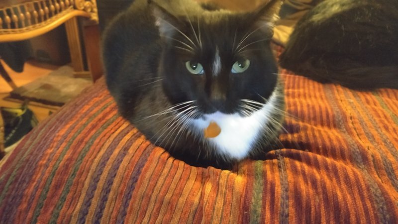 20170219_202543.jpg