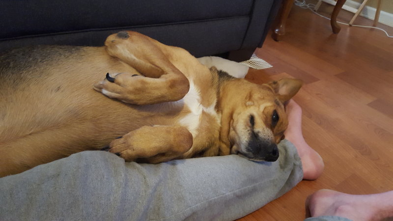 20170221_130923.jpg