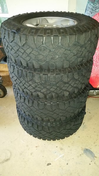 20170228_181107.jpg
