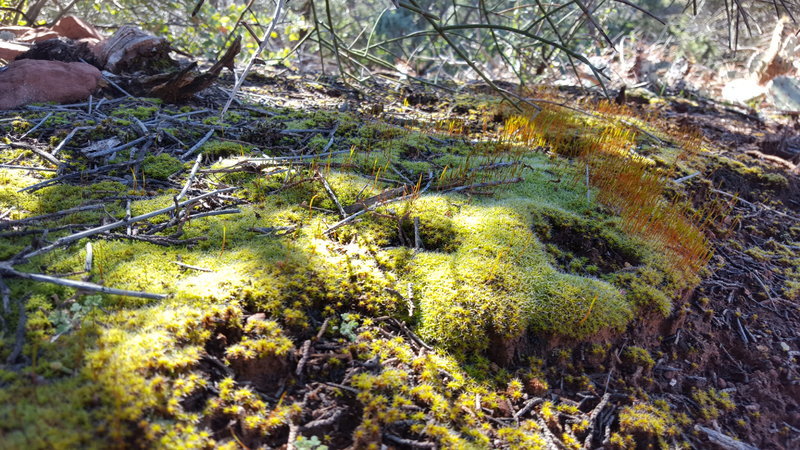 20170301_151051.jpg