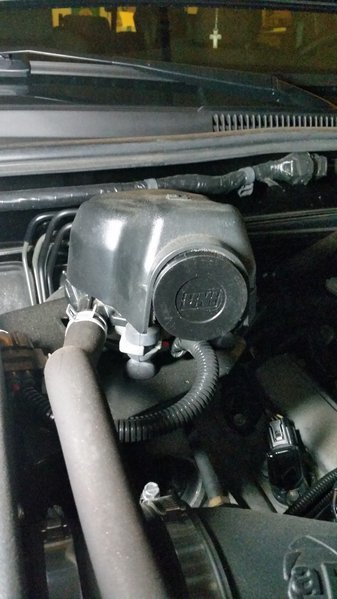20170302_220545.jpg