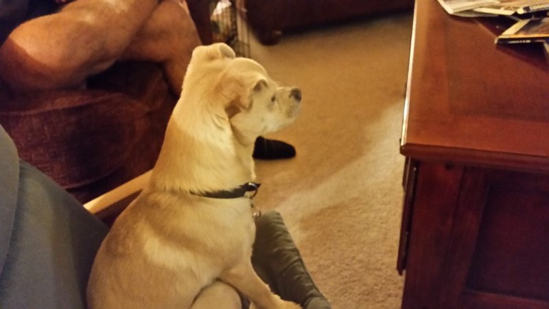 20170303_215150.jpg