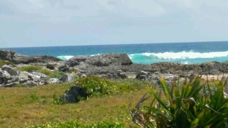 20170304_125644_HDR.jpg