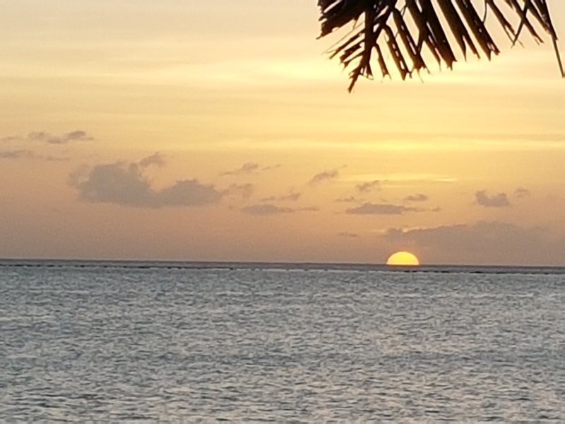 20170304_182925.jpg