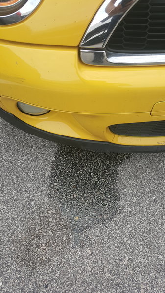 20170307_163549.jpg