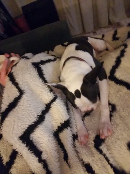 20170307_204917.jpg