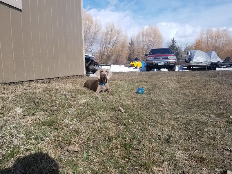 20170312_150518.jpg