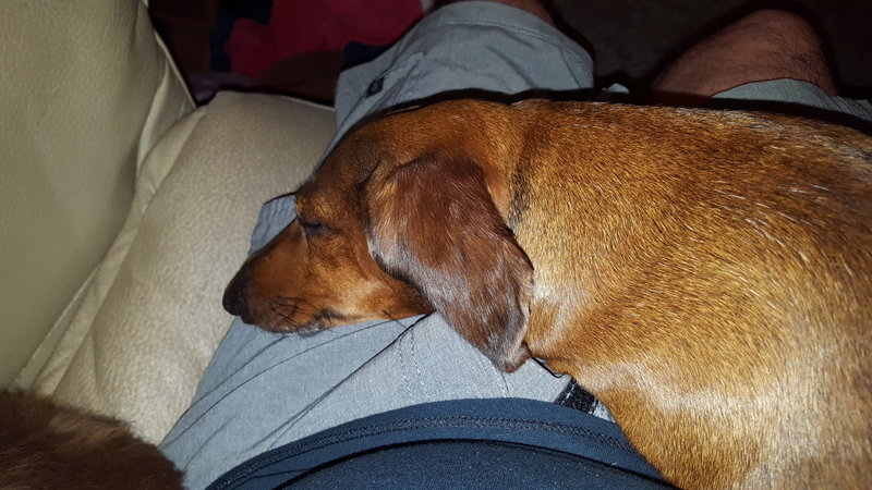 20170312_195906.jpg