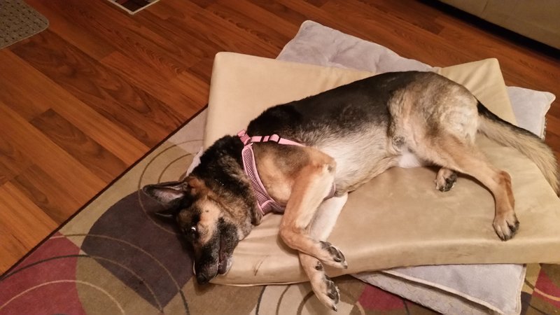 20170313_181634.jpg