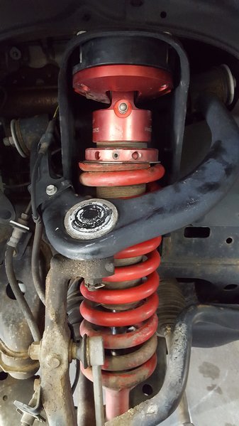 20170318_111639.jpg